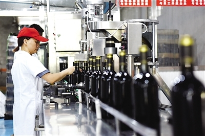 光泽:工人在包装蓝莓酒